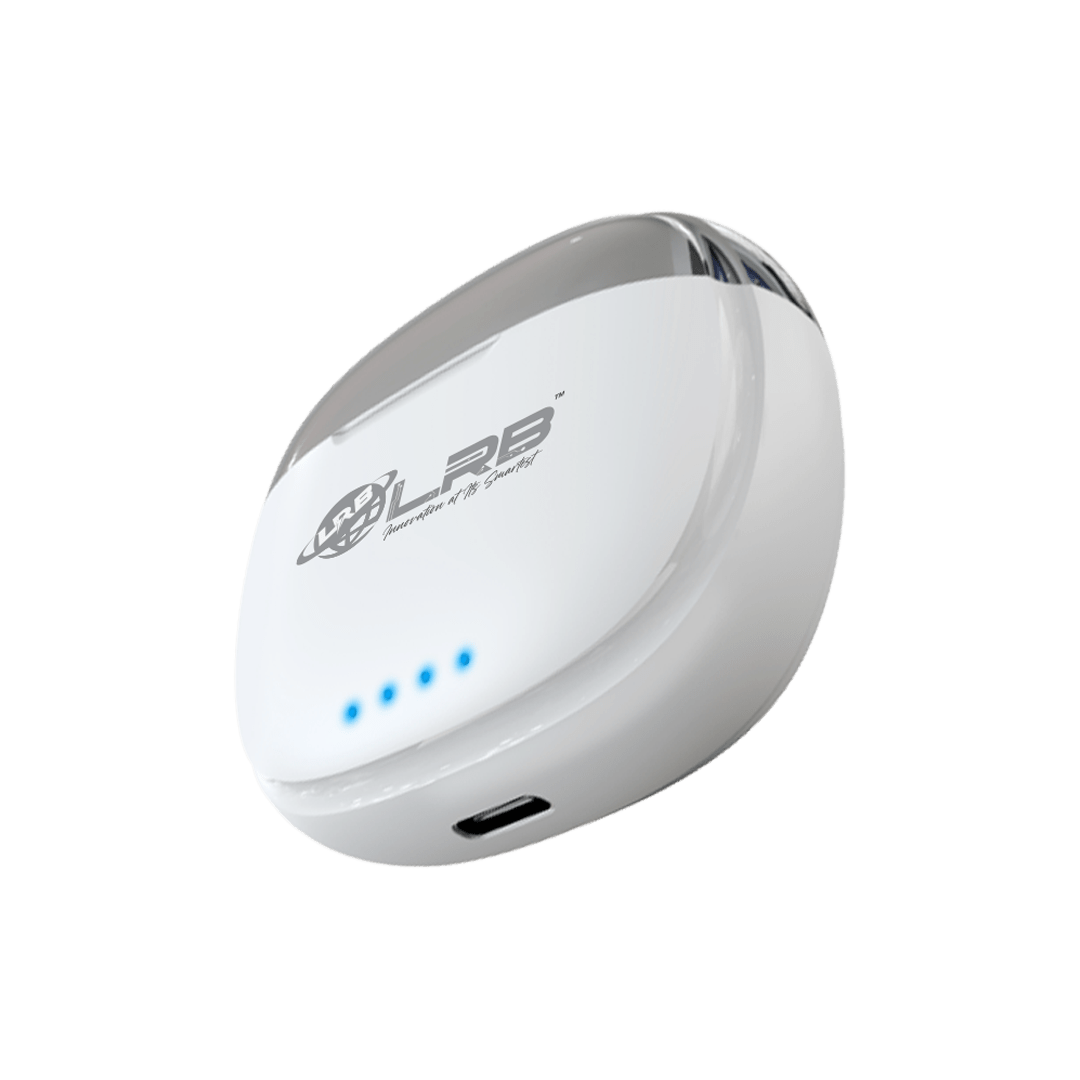 LRB-273 WIRELESS EARBUDS